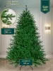 Искусственная ель Царь Елка  Астерия премиум 230см  3D