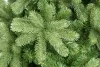 Ель искусственная Русская Красавица