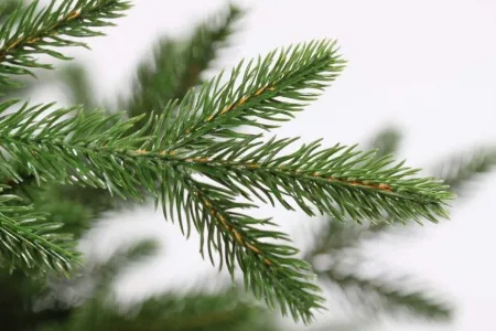 Ель искусственная  Царь Елка Адель